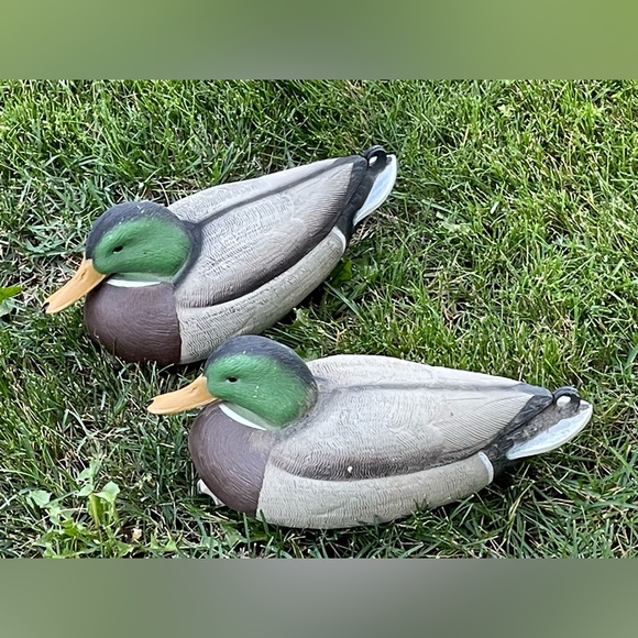 Greenhead Gear Hunting Plastic Floating Duck Mallard Decoys - Picture 5 of 13